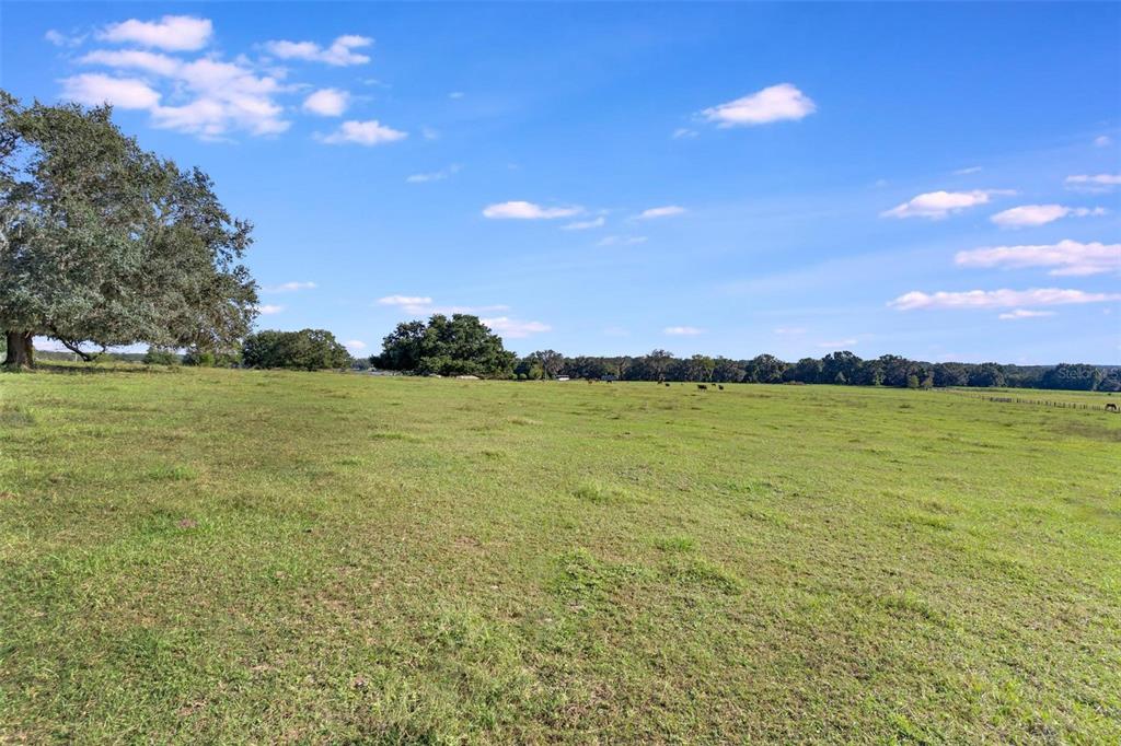 Tbd Southeast 156th Place Road Weirsdale, FL 32195 - Photo 11 of 13
