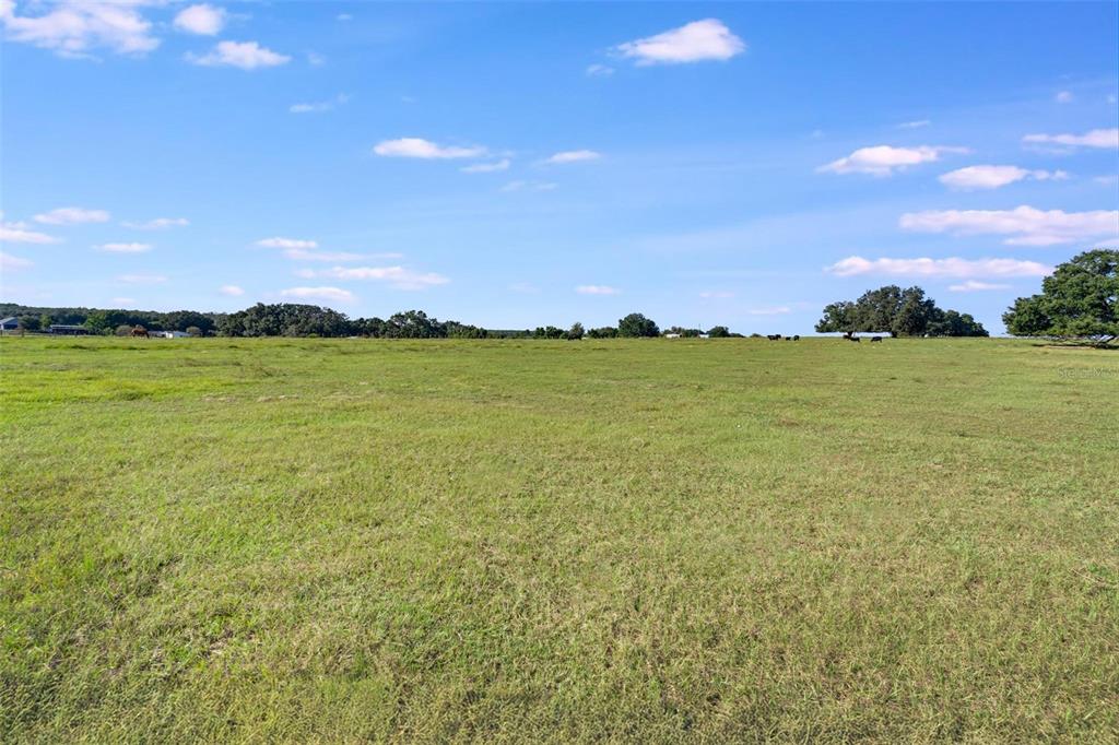 Tbd Southeast 156th Place Road Weirsdale, FL 32195 - Photo 12 of 13