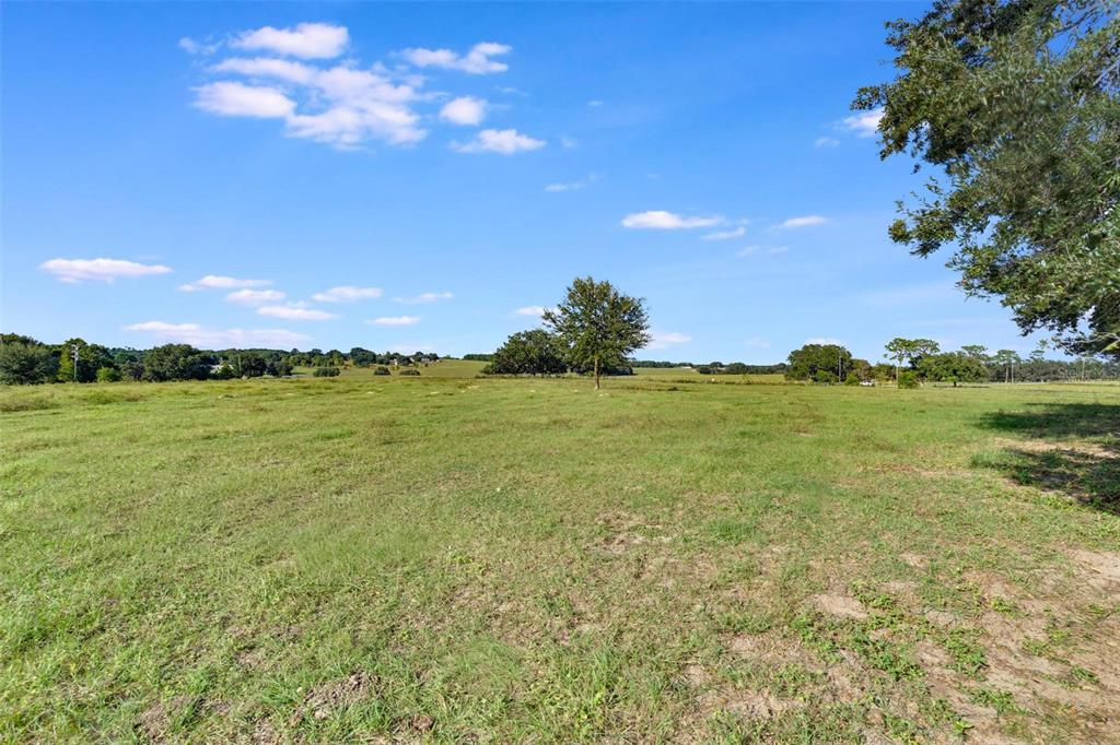 Tbd Southeast 156th Place Road Weirsdale, FL 32195 - Photo 9 of 13