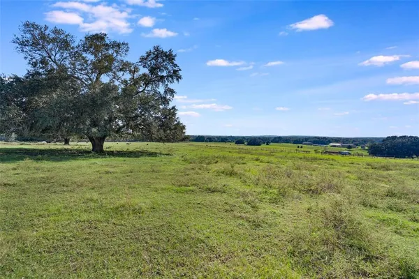 $375,000 | Tbd Southeast 156th Place Road, Weirsdale, FL 32195