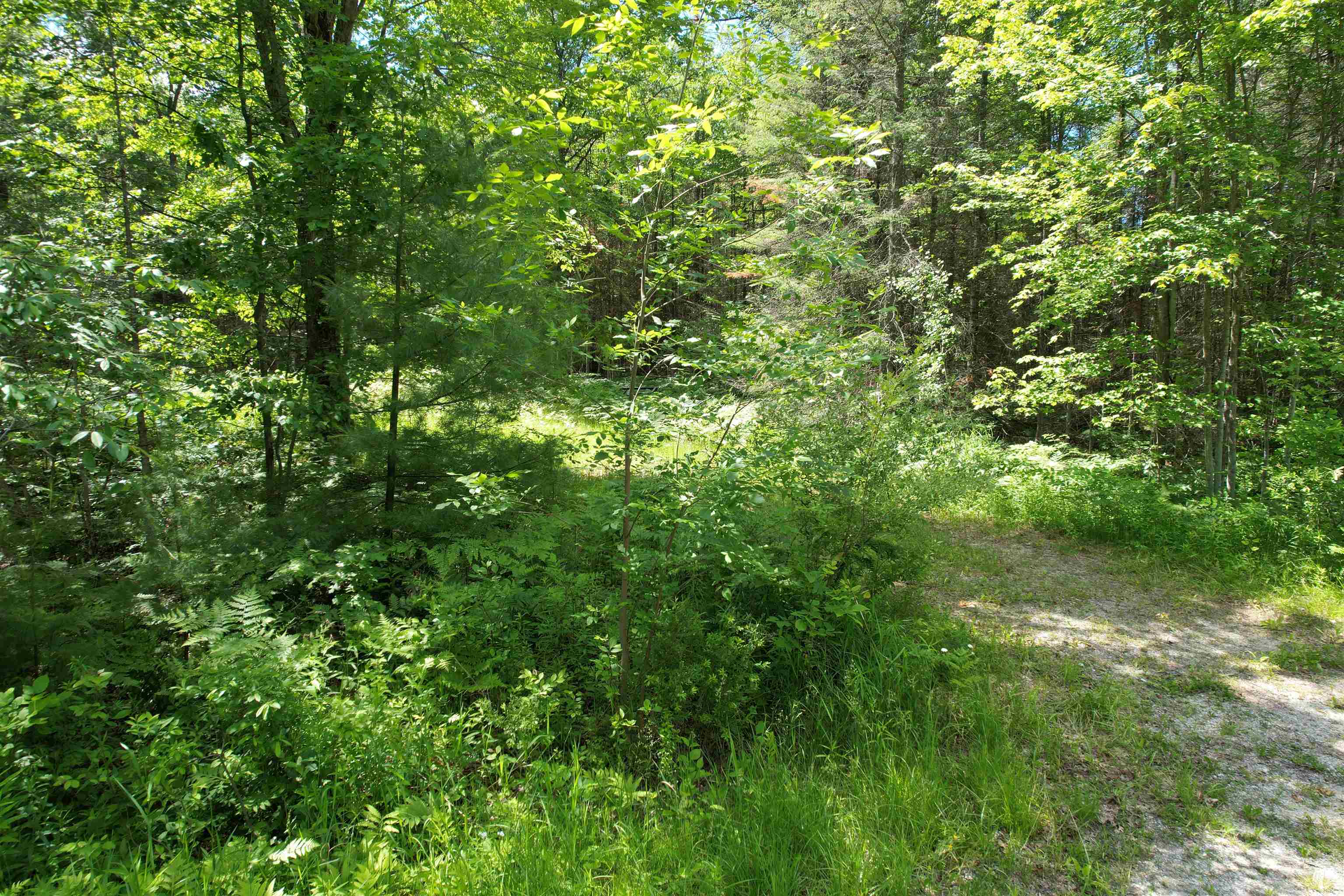 3936 South Deadstream Road Houghton Lake, MI 48629 - Photo 6 of 15