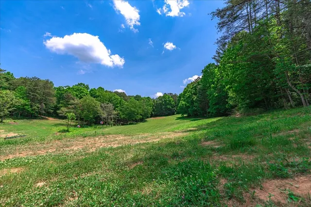 $3,450,000 | 254 Padgett Lane, Turtletown, TN 37391