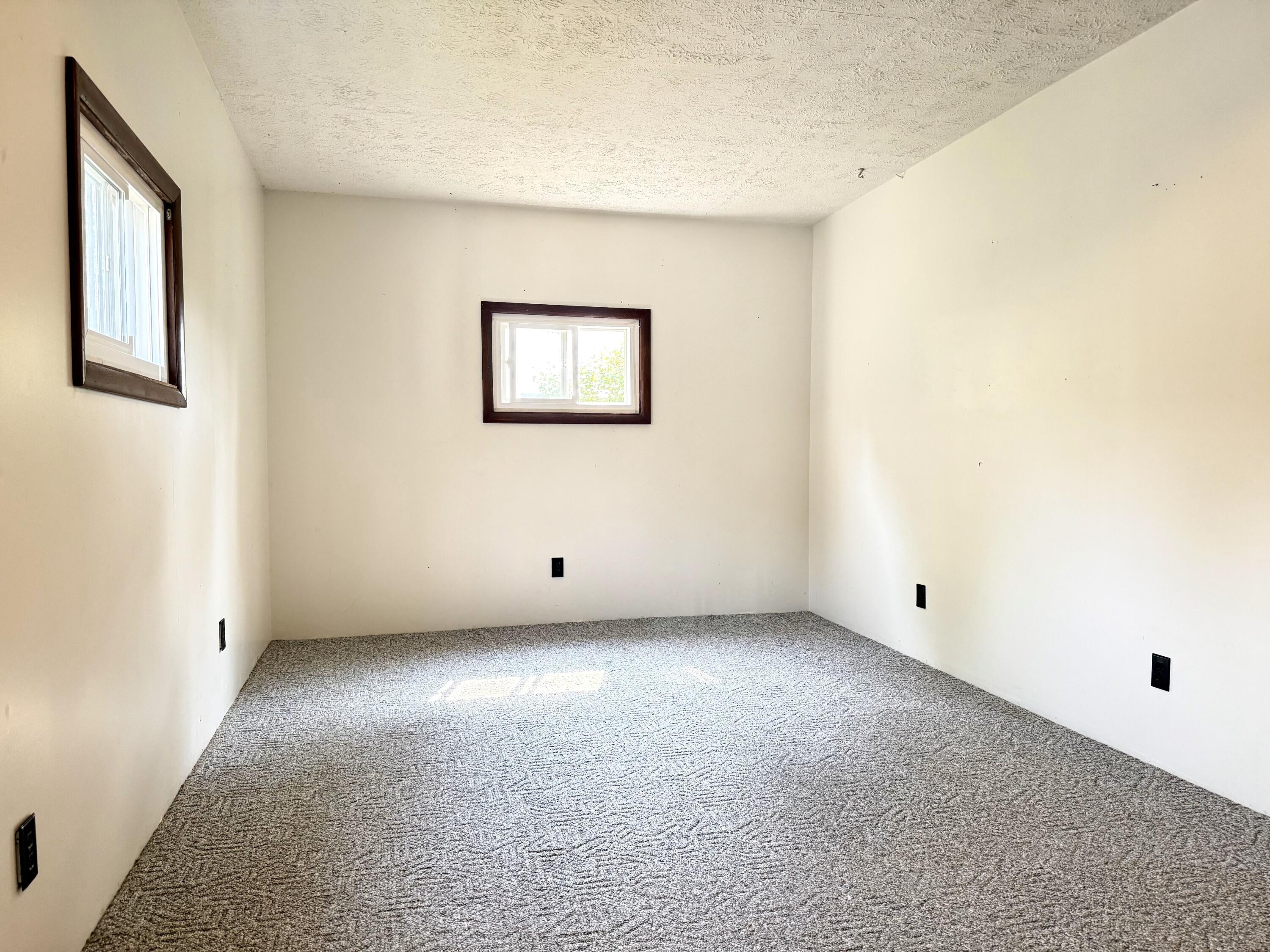 3035 Fitzner Road Greenville, MI 48838 - Photo 13 of 27 Fitzner-13.jpg