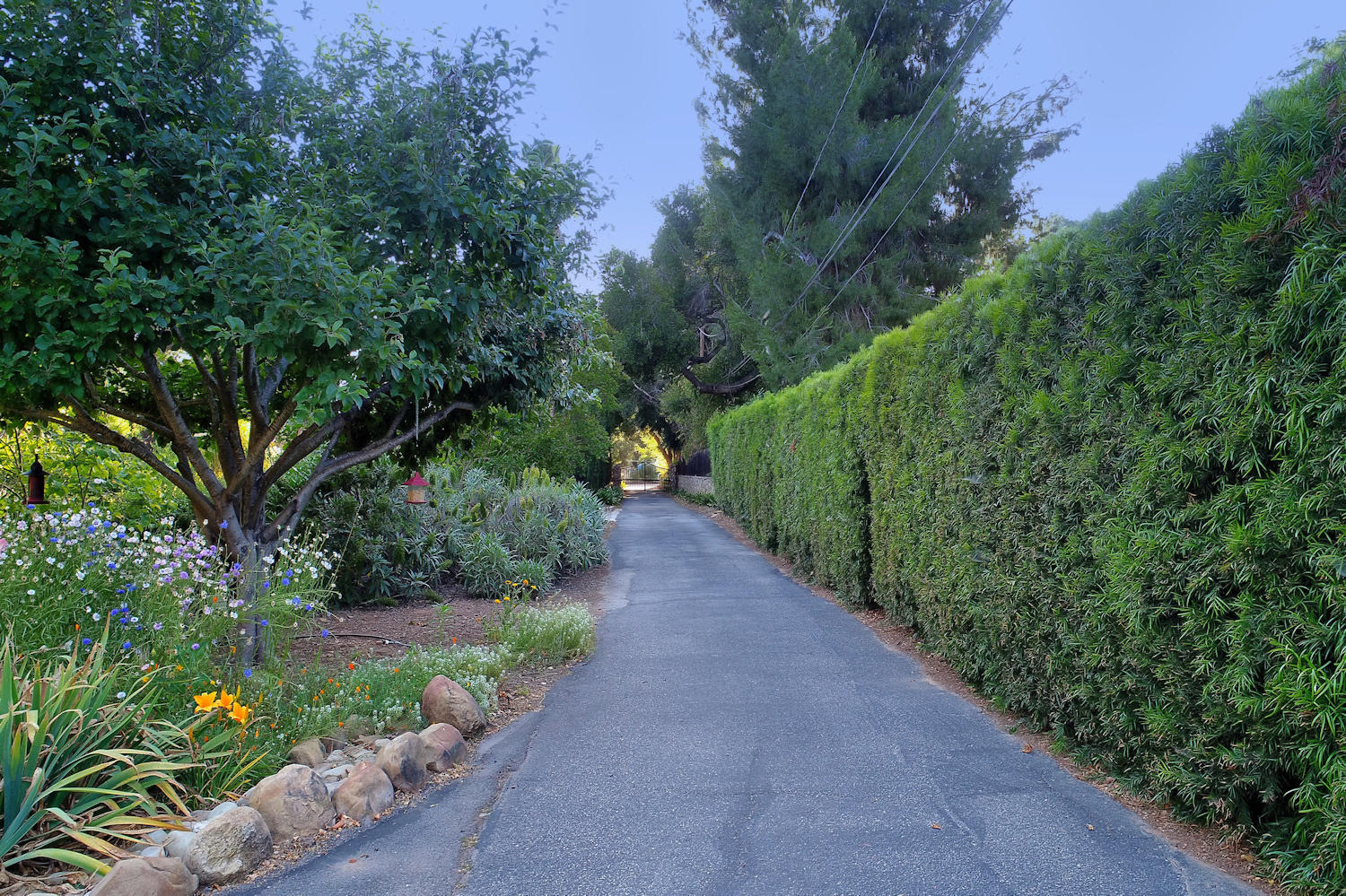 1442 South Rice Road Ojai, CA 93023 - Photo 34 of 50 a view of a pathway of a park