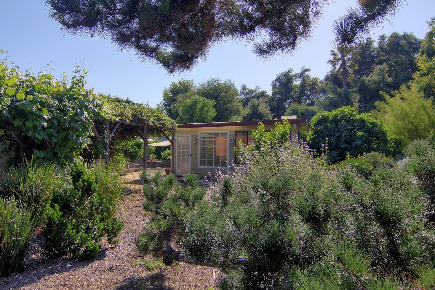 1442 South Rice Road Ojai, CA 93023 - Photo 37 of 50 a view of a house with a backyard