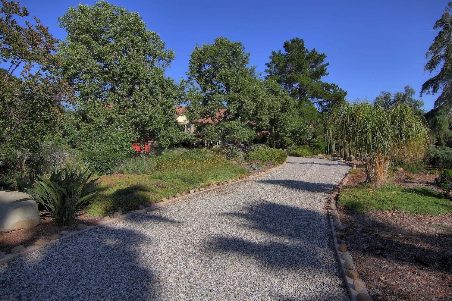 1442 South Rice Road Ojai, CA 93023 - Photo 41 of 50 a view of a yard with plants and trees
