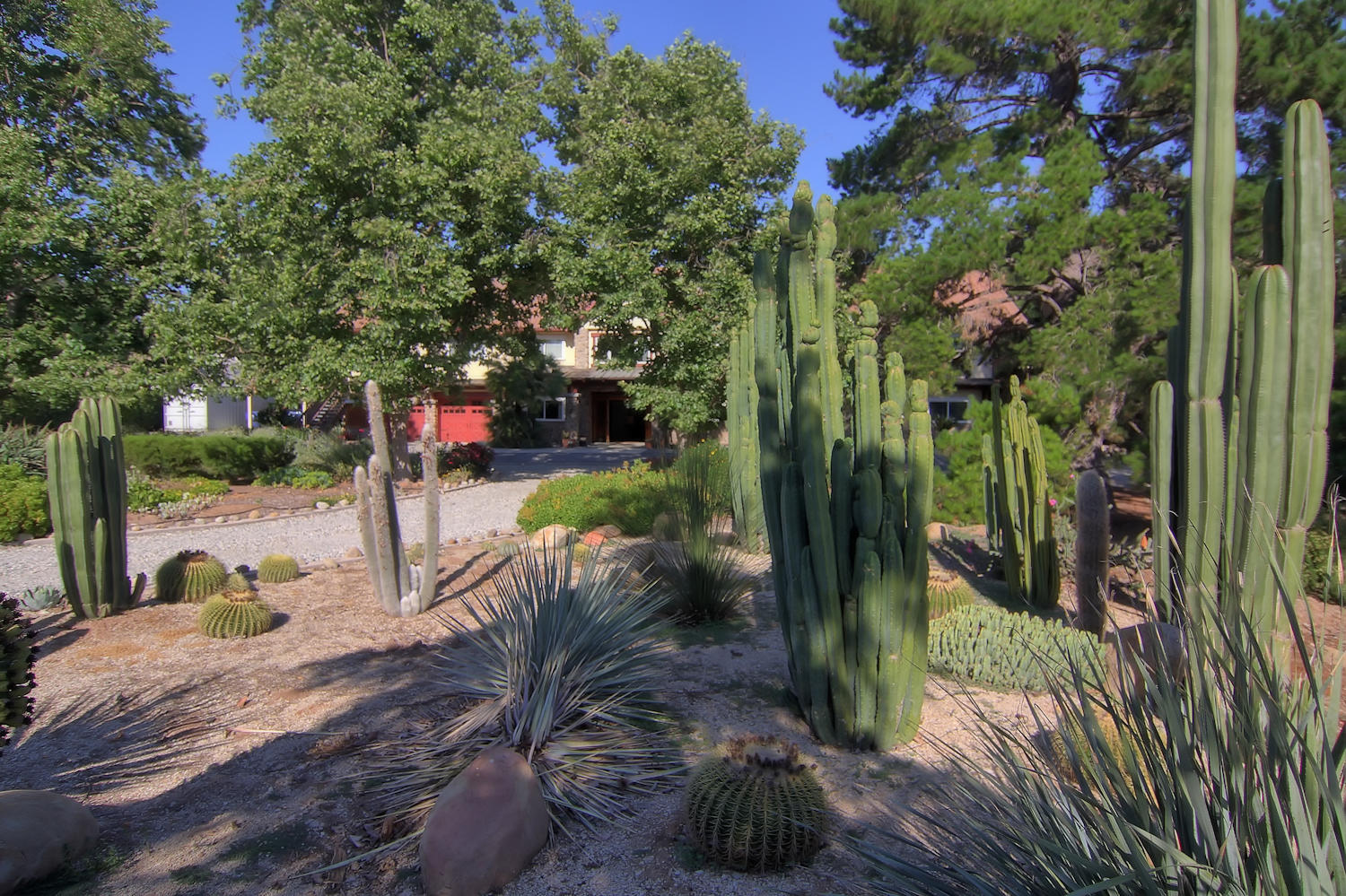 1442 South Rice Road Ojai, CA 93023 - Photo 46 of 50 a view of yard
