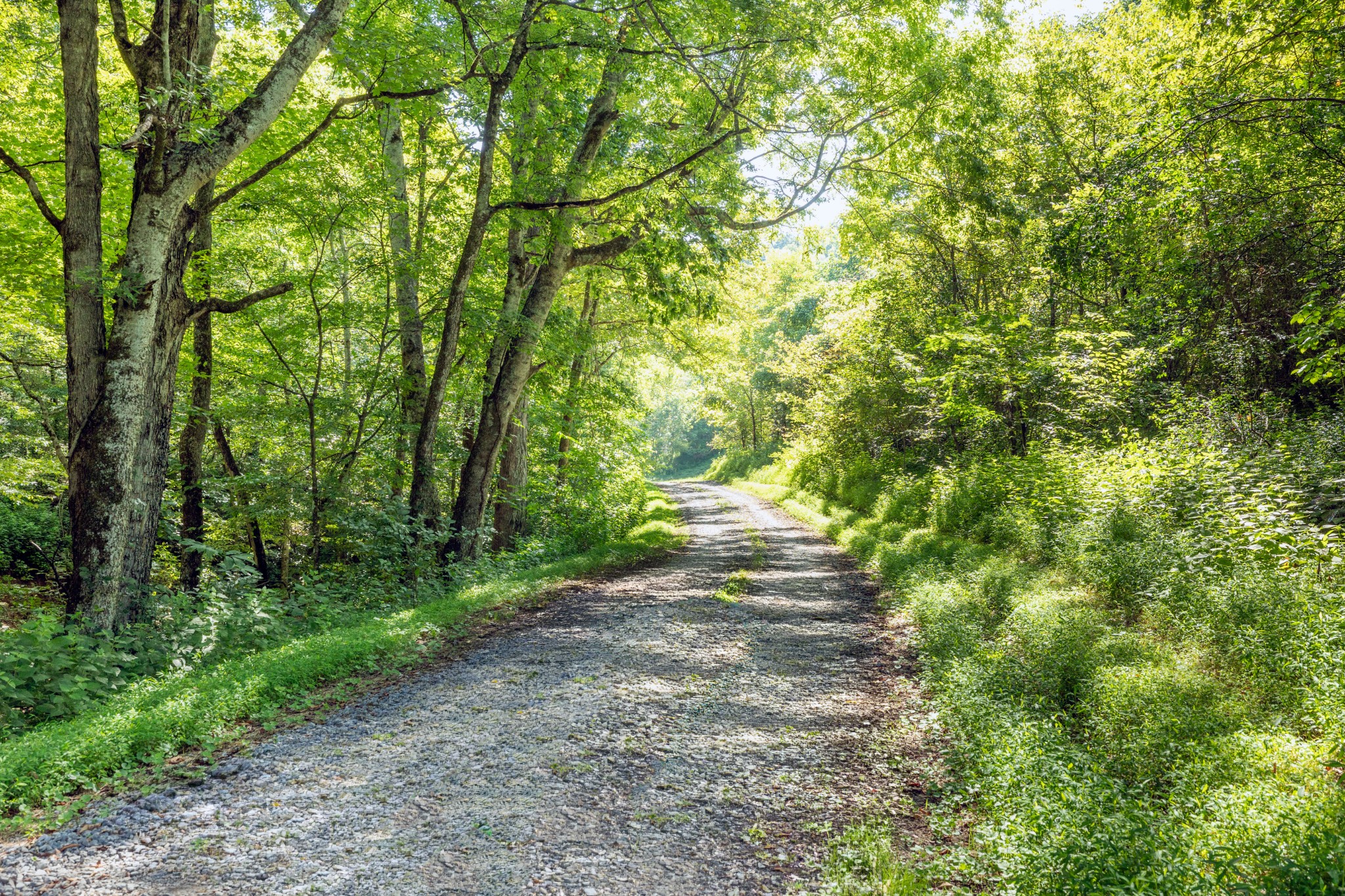 2952 Springplace Road Belfast, TN 37019 - Photo 10 of 45 Gallery Image 10