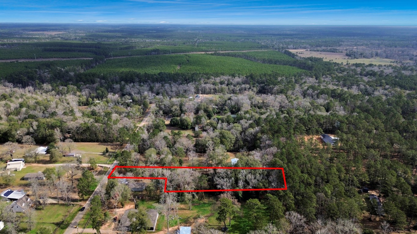 10920 Newton Circle Conroe, TX 77303 - Photo 13 of 21 a view of a garden with large trees