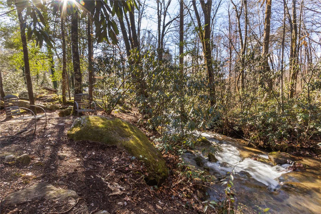 205 Rocky Bottom Road Sunset, SC 29685 - Photo 28 of 46 A rushing stream flows through a wooded setting filled with mature trees and native rhododendrons.