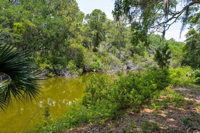 $1,850,000 | 214 Sea Island Drive, Georgetown, SC 29440