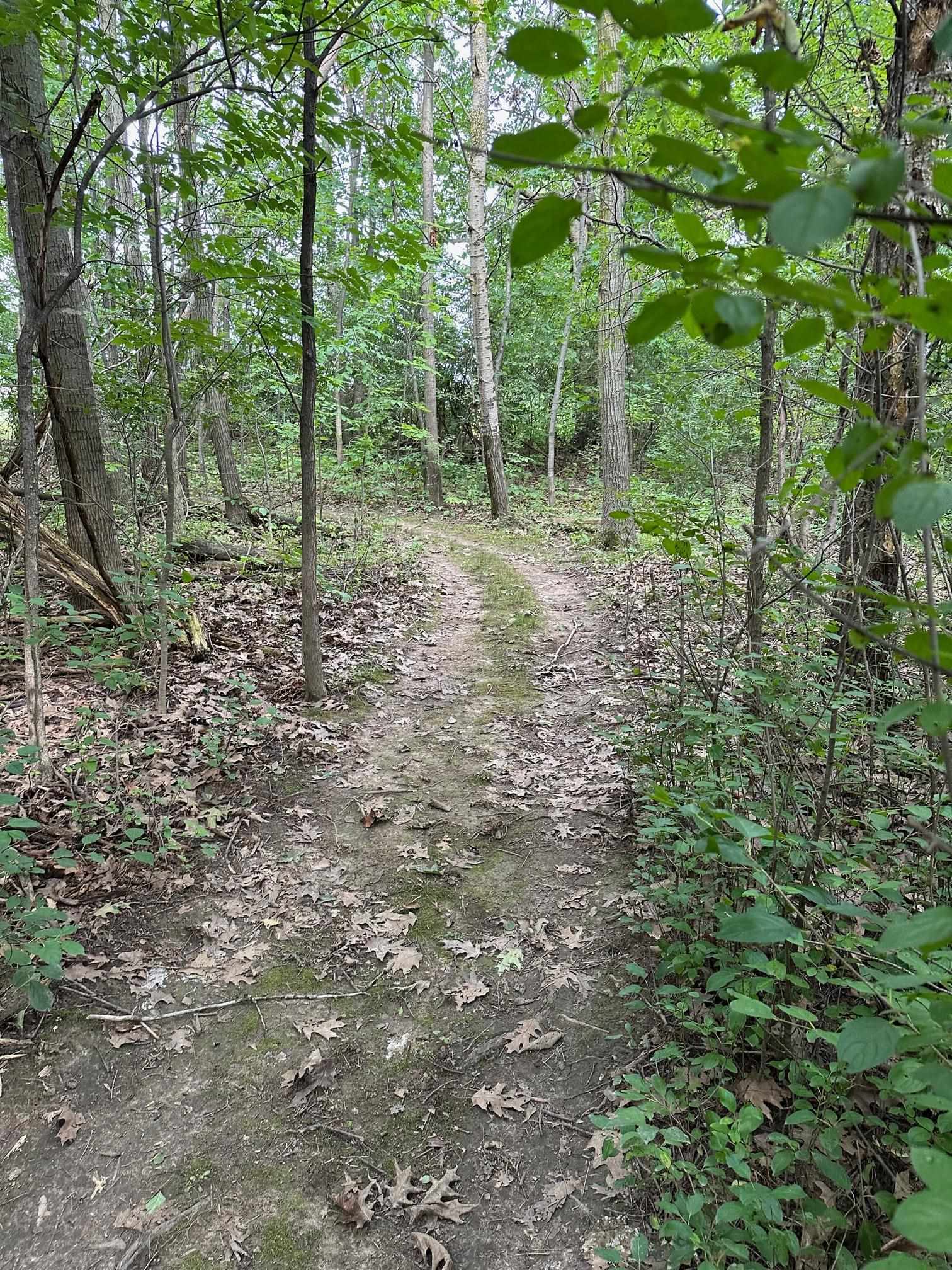2506 South Oak Road Davison, MI 48423 - Photo 47 of 48 Trails galore