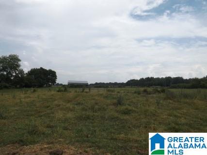 0 Highway 24 Oneonta Al Oneonta, AL 35121 - Photo 17 of 27