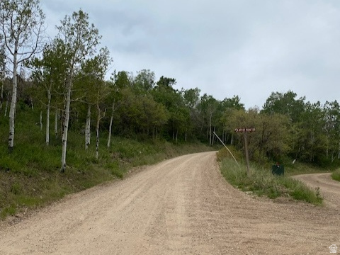 2604 South Forest Meadow Road, Unit C82 Coalville, UT 84017 - Photo 1 of 27 Gravel road featuring a gentle curve with a wooded perimeter