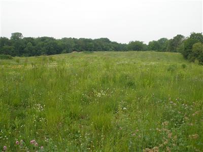 2580 Dayton Road Galien, MI 49113 - Photo 1 of 2 Primary Photo