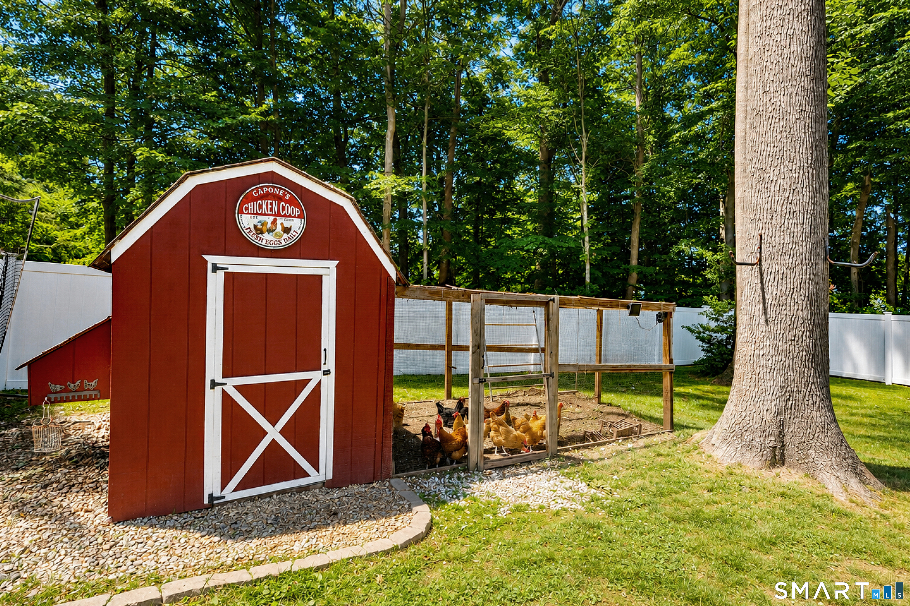 236 Maple Shade Road Middletown, CT 06457 - Photo 34 of 38 Chicken Coop + Shed