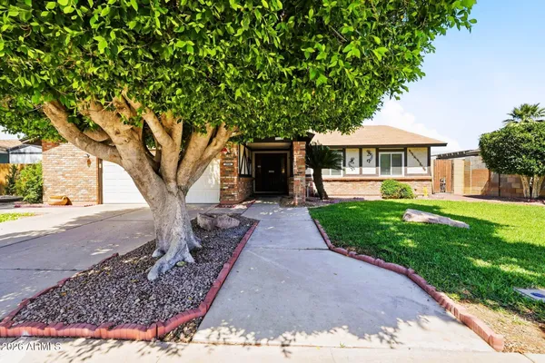 a front view of a house with a yard and an tree