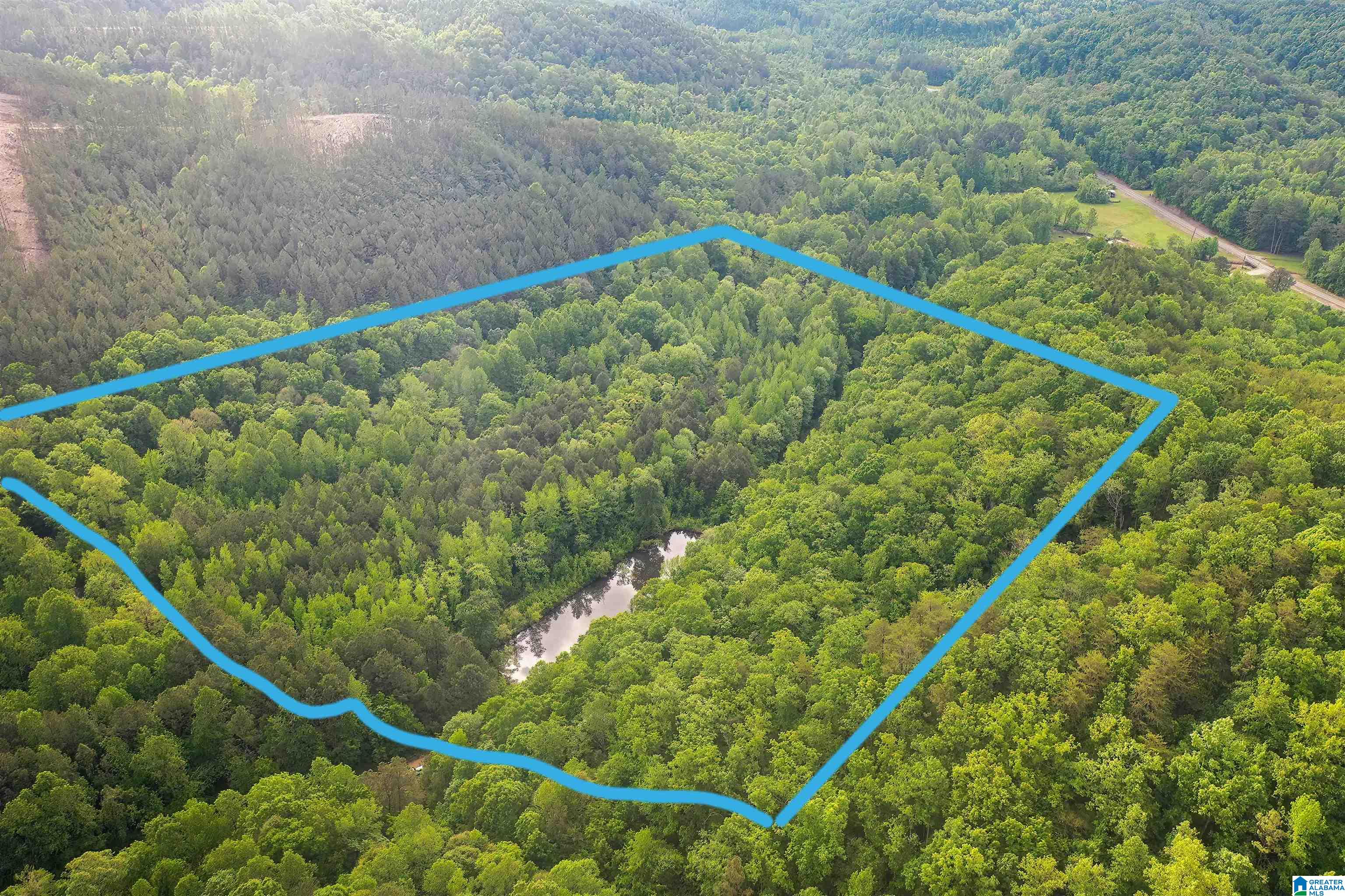 0 Wolf Creek Road Carbon Hill, AL 35549 - Photo 13 of 29