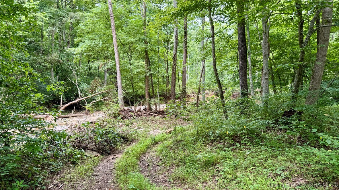 Off W/s Rush Creek Road Salem, IN 47167 - Photo 14 of 40 Gallery Image 14