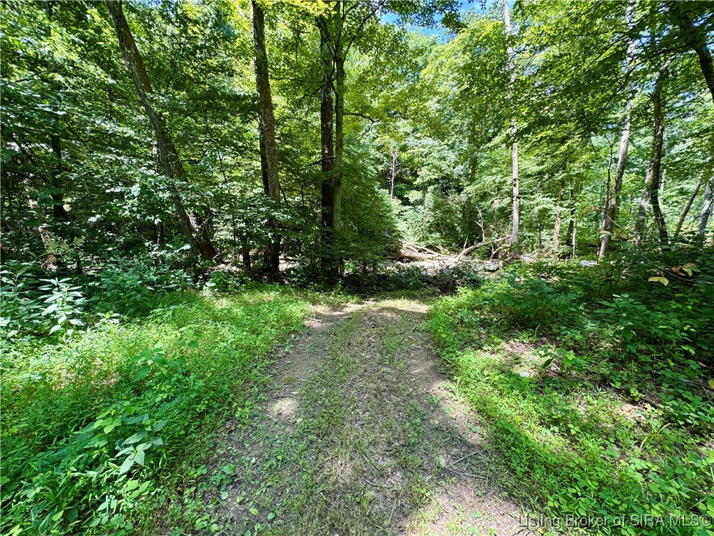 Off W/s Rush Creek Road Salem, IN 47167 - Photo 23 of 40 Gallery Image 23