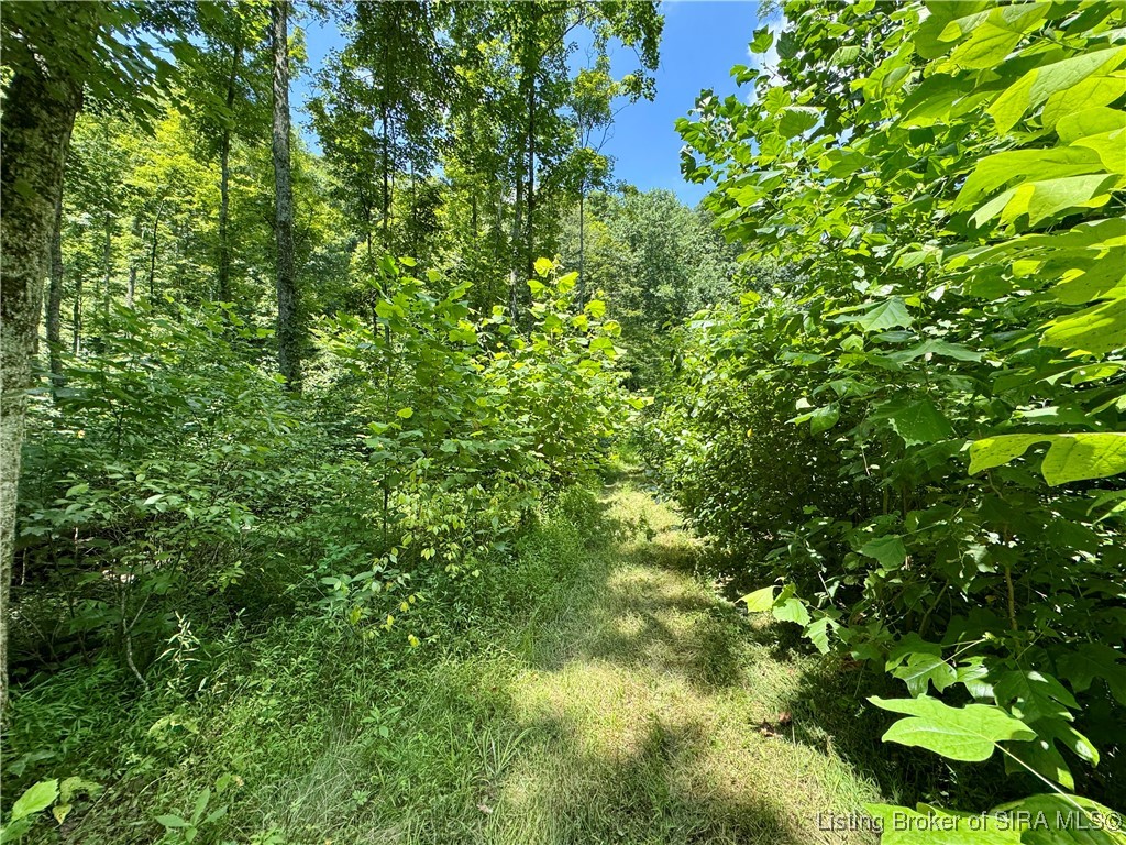 Off W/s Rush Creek Road Salem, IN 47167 - Photo 31 of 40 Gallery Image 31