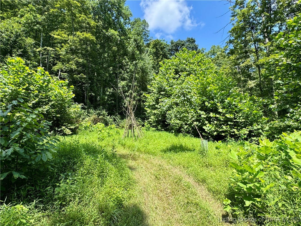 Off W/s Rush Creek Road Salem, IN 47167 - Photo 32 of 40 Gallery Image 32