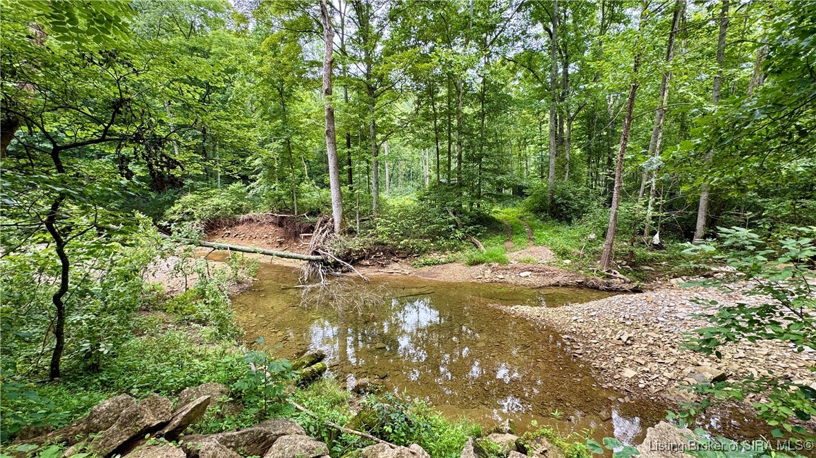Off W/s Rush Creek Road Salem, IN 47167 - Photo 7 of 40 Gallery Image 7