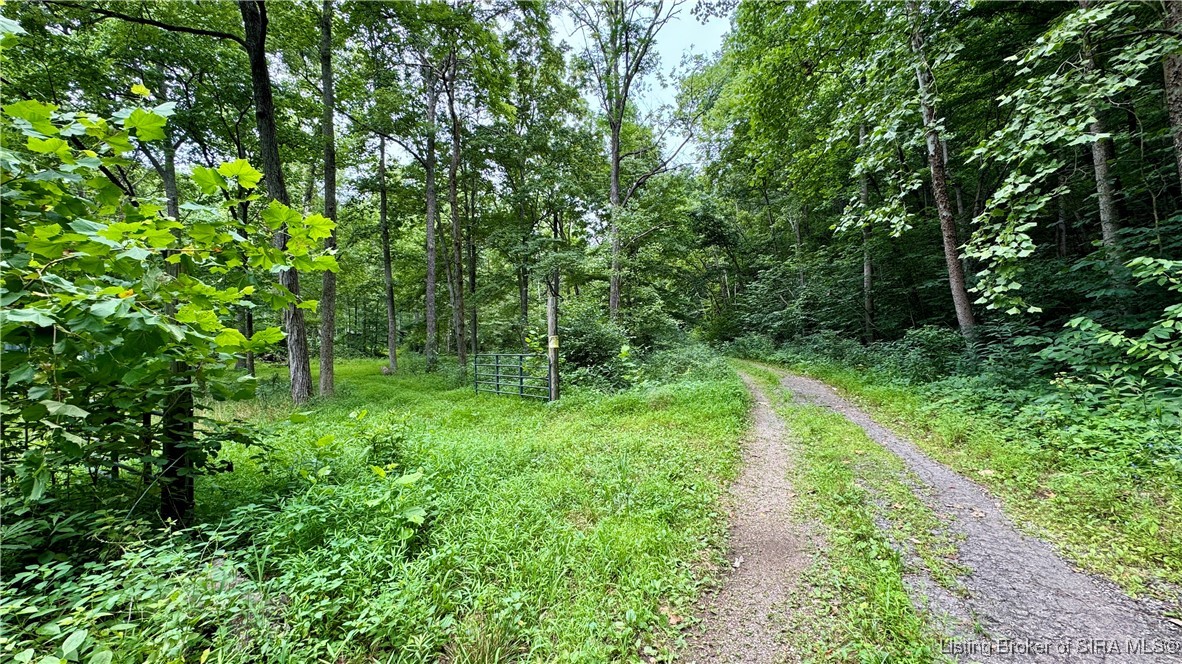 Off W/s Rush Creek Road Salem, IN 47167 - Photo 9 of 40 Gallery Image 9