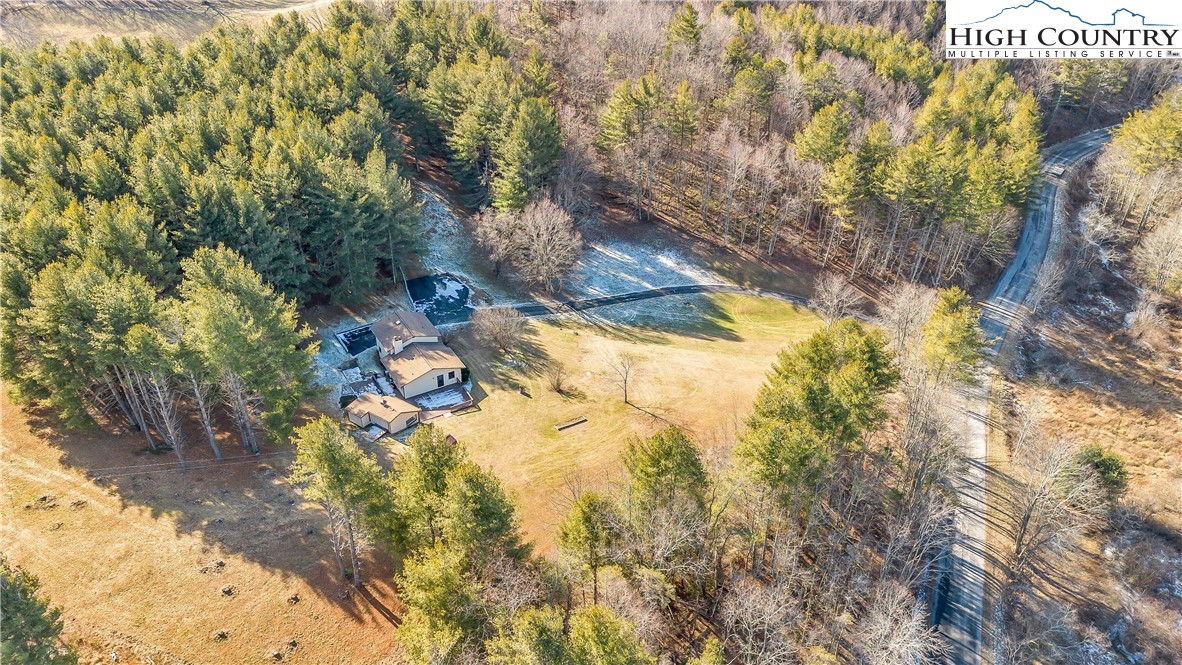 1324 Ripshin Road Troutdale, VA 24378 - Photo 11 of 47 a view of forest