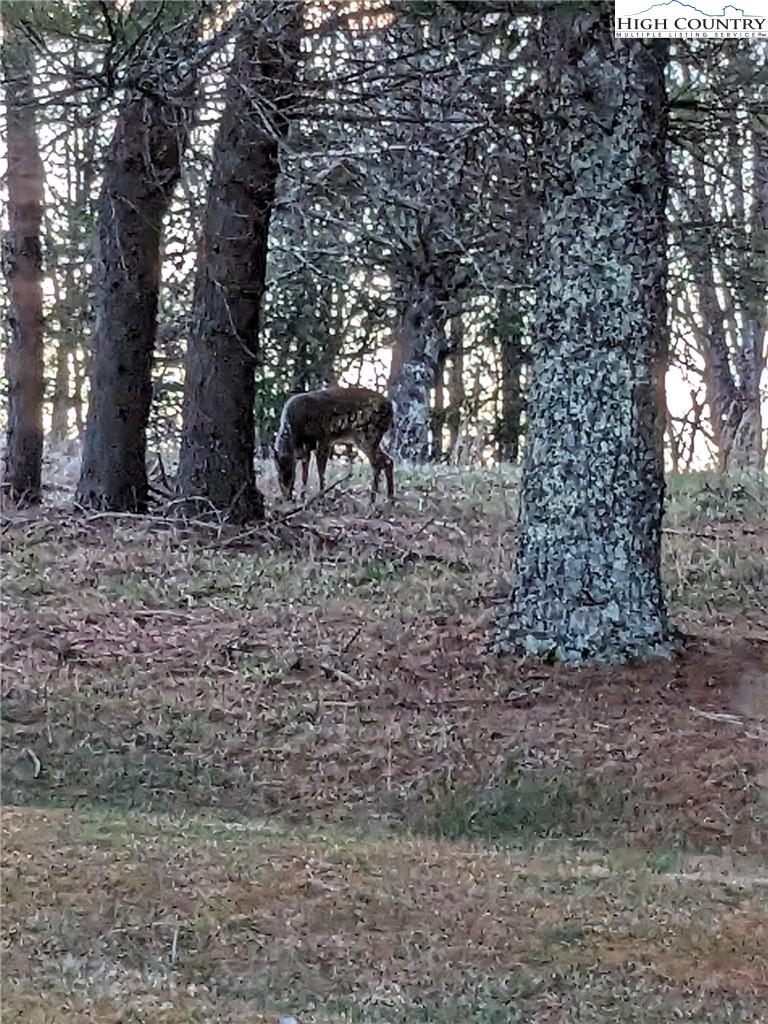 1324 Ripshin Road Troutdale, VA 24378 - Photo 43 of 47