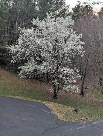 $849,000 | 1324 Ripshin Road, Troutdale, VA 24378