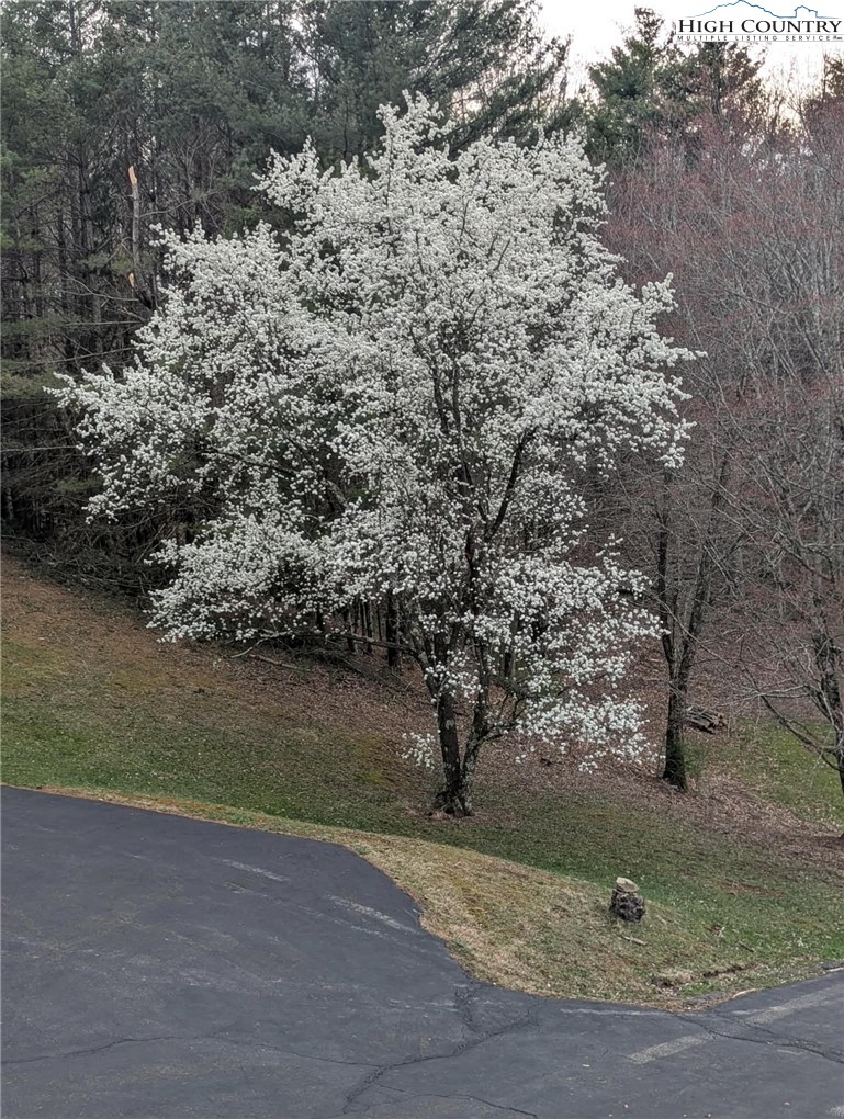 1324 Ripshin Road Troutdale, VA 24378 - Photo 46 of 47 a view of a yard