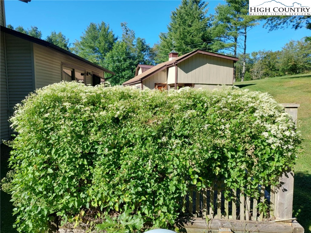 1324 Ripshin Road Troutdale, VA 24378 - Photo 47 of 47 a backyard of a house with lots of green space