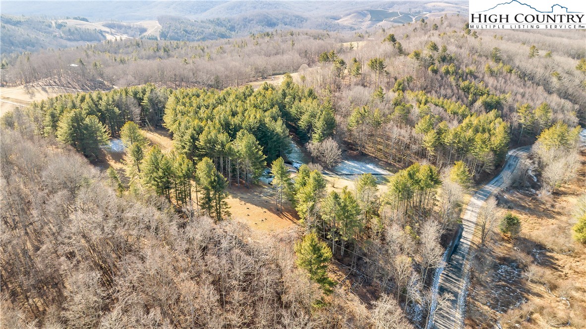 1324 Ripshin Road Troutdale, VA 24378 - Photo 10 of 47