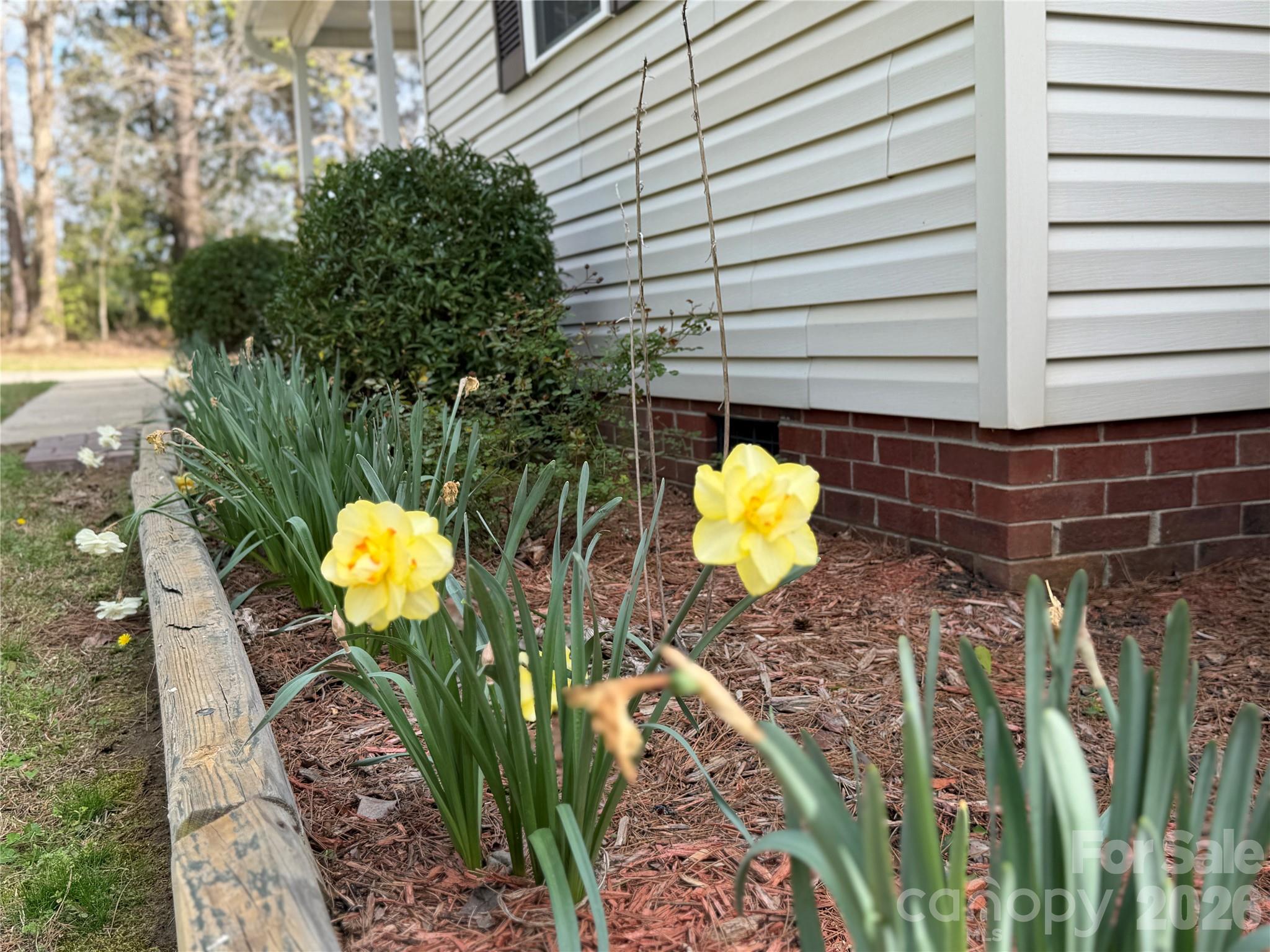 7645 Bringle Ferry Road Salisbury, NC 28146 - Photo 4 of 22