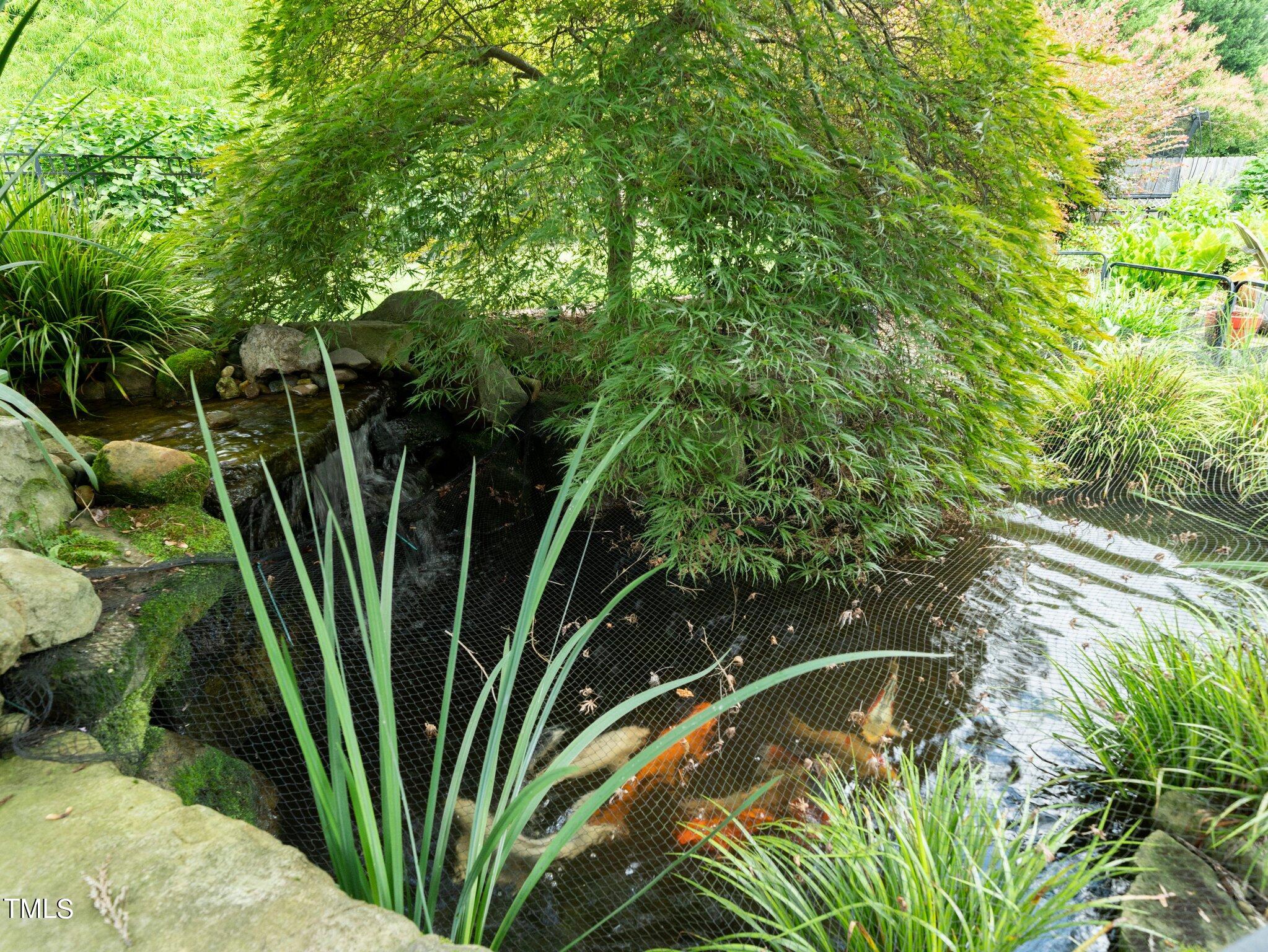 2512 Lewiswood Lane Raleigh, NC 27608 - Photo 34 of 41 a view of a plant in a garden