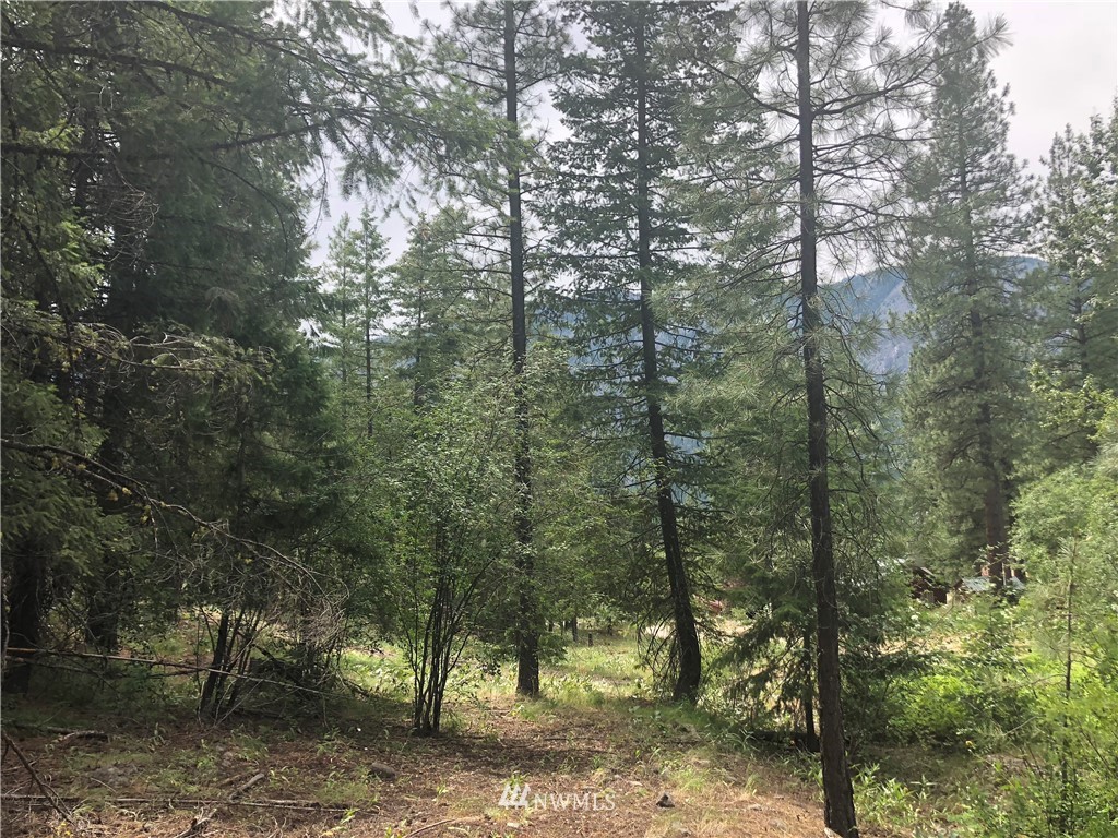 431 West Fawn Creek Road Winthrop, WA 98862 - Photo 1 of 24