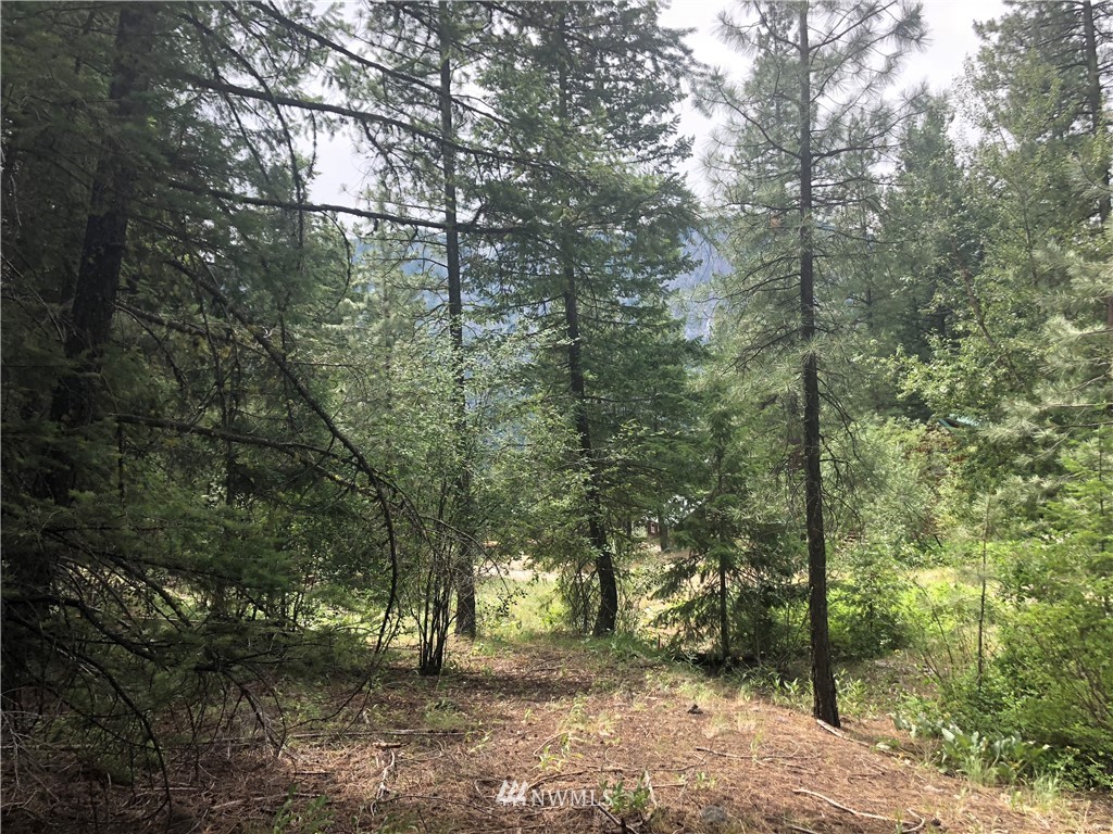431 West Fawn Creek Road Winthrop, WA 98862 - Photo 11 of 24