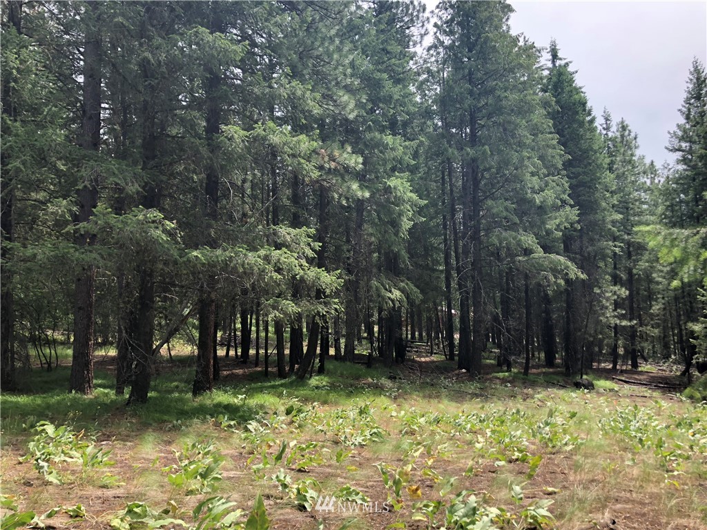 431 West Fawn Creek Road Winthrop, WA 98862 - Photo 12 of 24