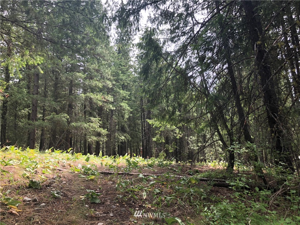 431 West Fawn Creek Road Winthrop, WA 98862 - Photo 13 of 24