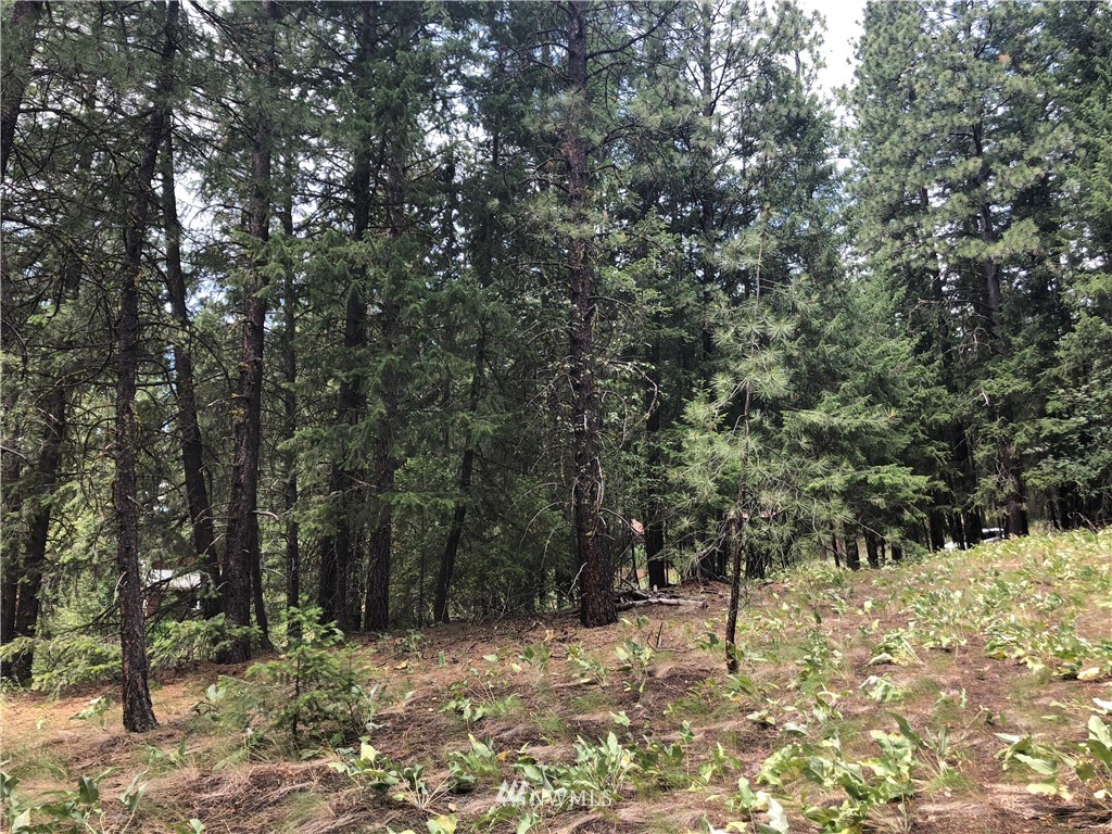 431 West Fawn Creek Road Winthrop, WA 98862 - Photo 14 of 24