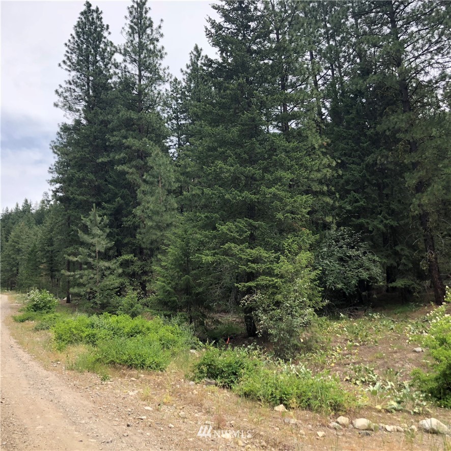 431 West Fawn Creek Road Winthrop, WA 98862 - Photo 19 of 24