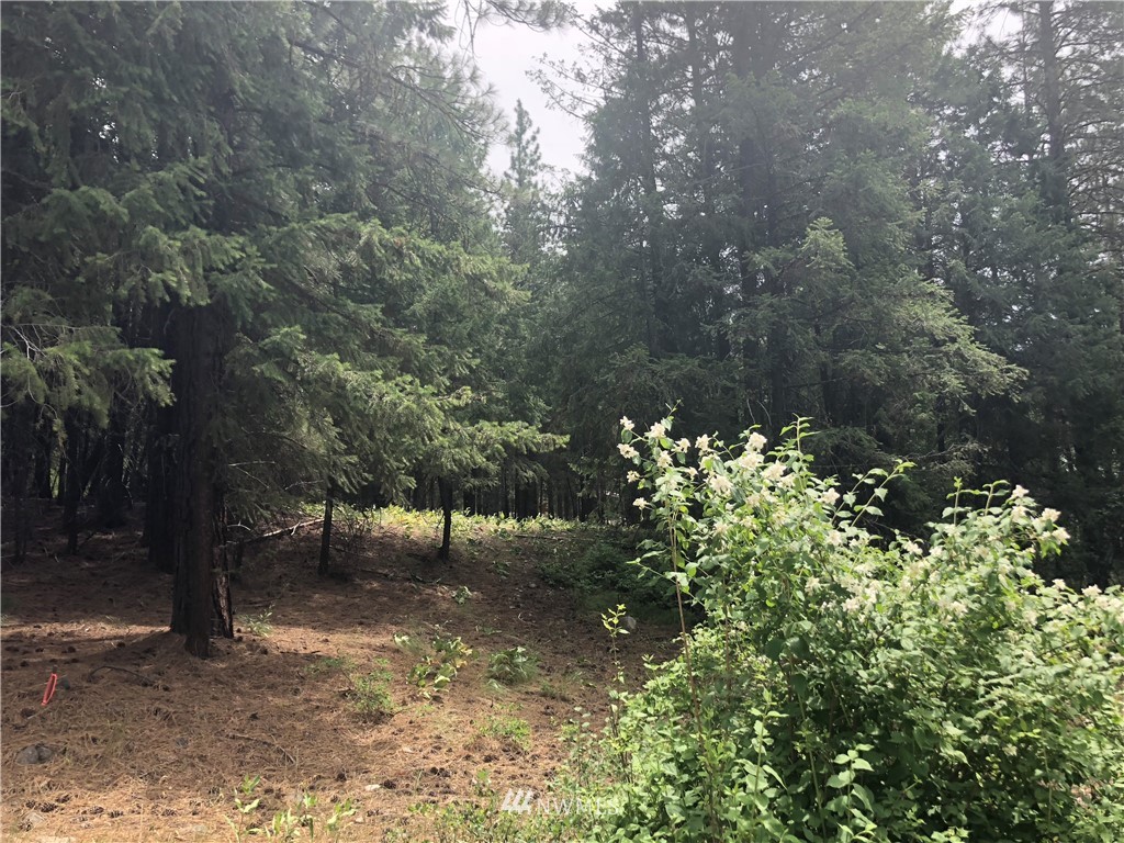 431 West Fawn Creek Road Winthrop, WA 98862 - Photo 8 of 24