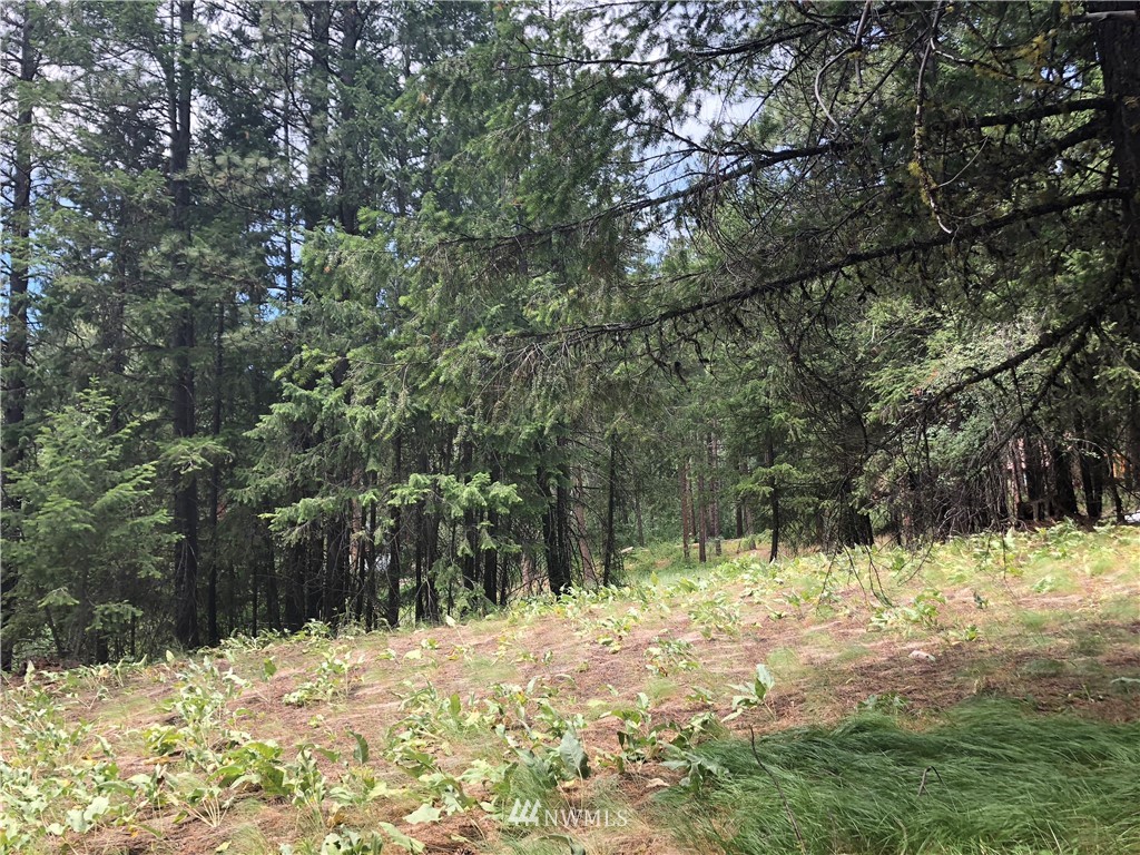 431 West Fawn Creek Road Winthrop, WA 98862 - Photo 9 of 24