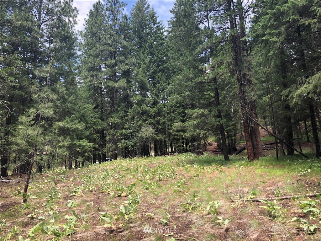 431 West Fawn Creek Road Winthrop, WA 98862 - Photo 10 of 24