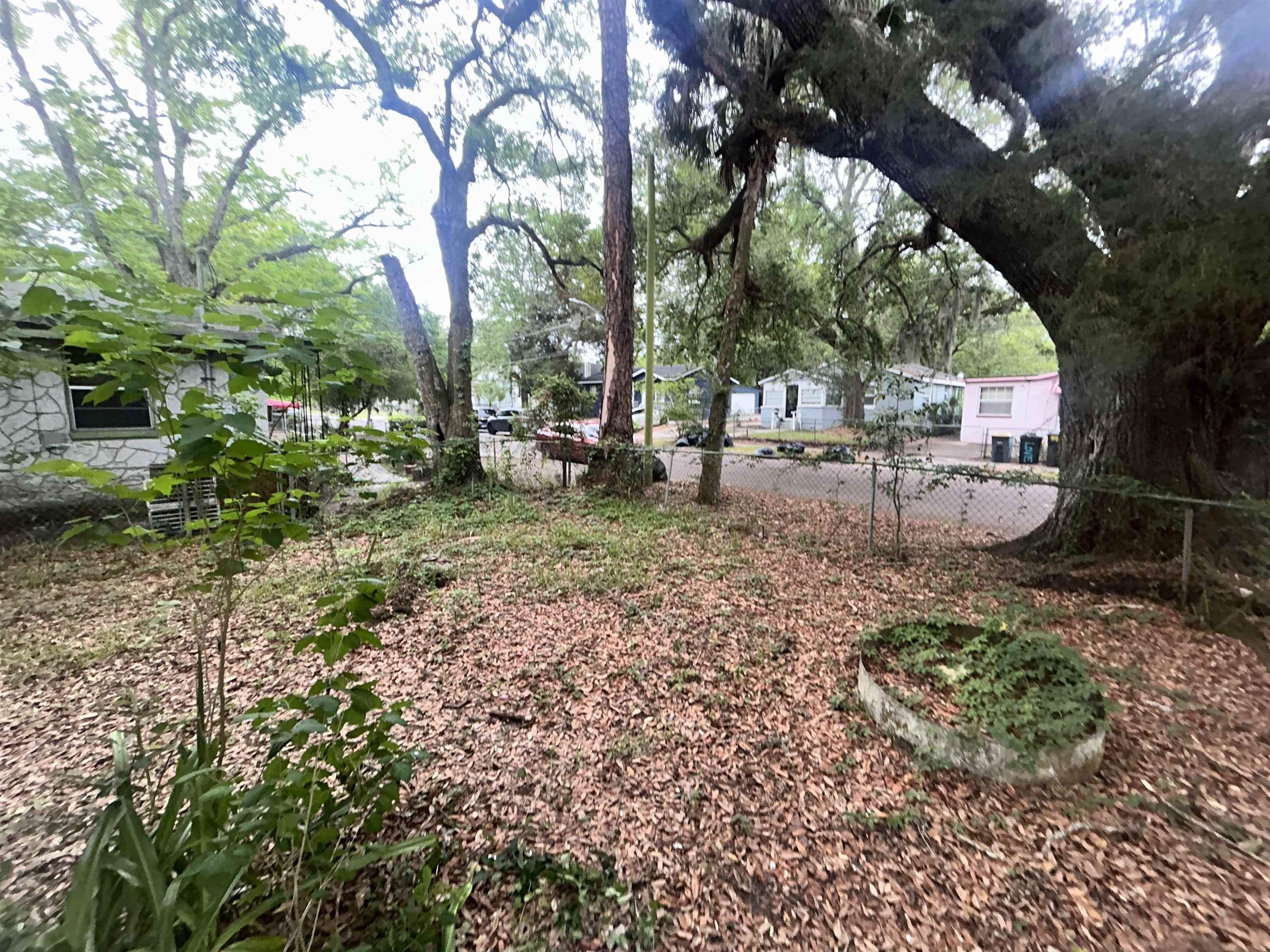 1663 West 30th Street Jacksonville, FL 32209 - Photo 17 of 18