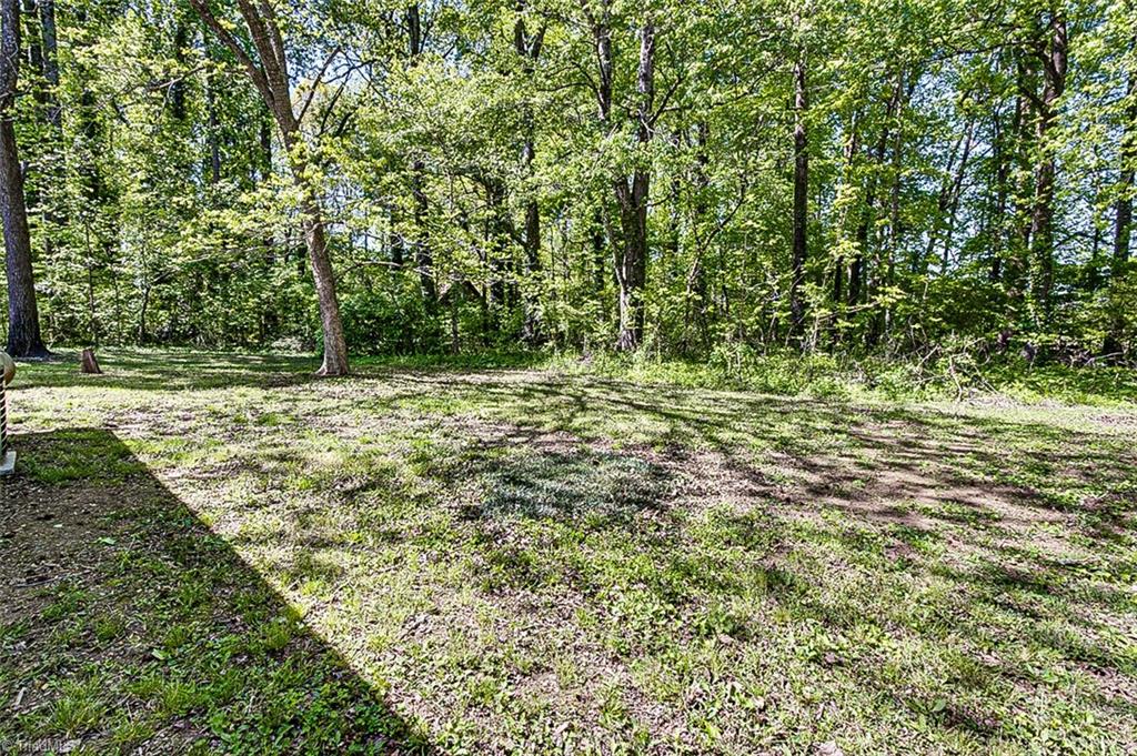 5416 Ferguson Road Liberty, NC 27298 - Photo 23 of 24 5420 Yard