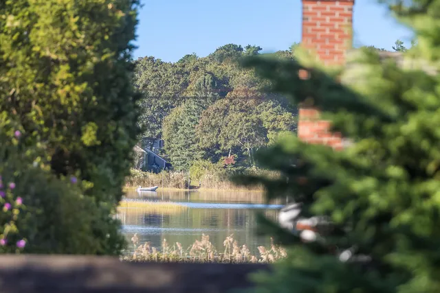 a picture of flowers