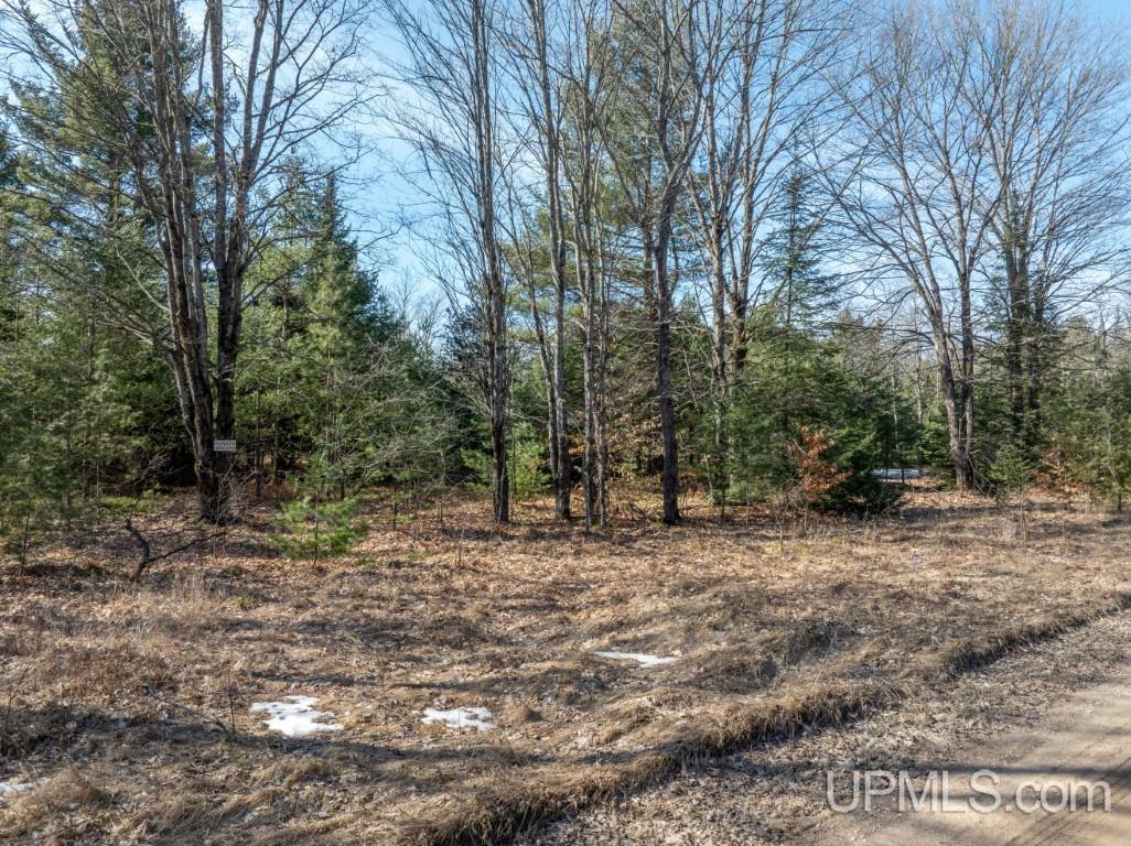 Tbd Dd Road Wetmore, MI 49895 - Photo 22 of 22