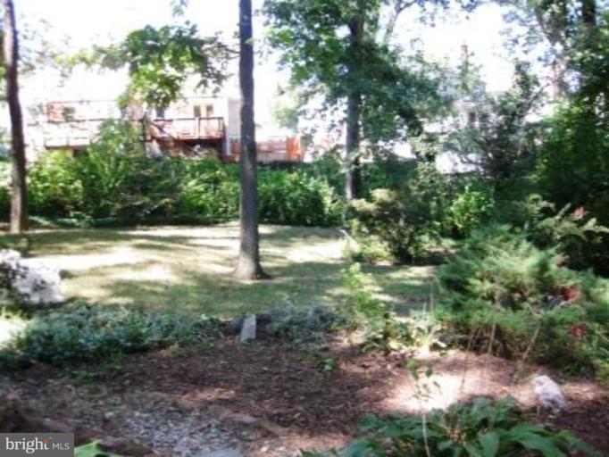 7024 Coventry Road Alexandria, VA 22306 - Photo 15 of 18 Back yard